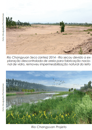 Recuperação de córregos através de filtração natural por plantas